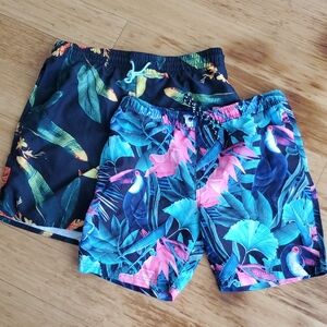 Tropical Print Men's Swim Trunks